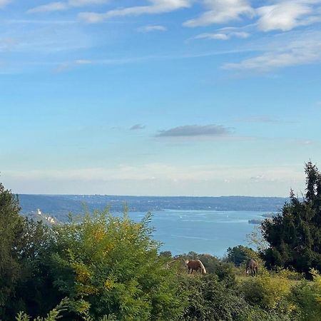 La Garconnierre Del Lago Maggiore Nebbiuno Exterior foto